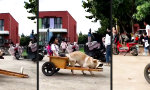 Eigener Grundschul-Chauffeur