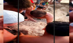 Lustiges Video : Steinzeitmenschen unter sich