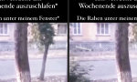 Movie : Von den Raben geweckt