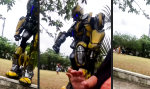 Lustiges Video : Go home, Bumblebee, you´re drunk