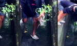 Funny Video - Wenn gute Taten ins Wasser fallen