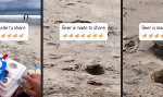 Lustiges Video - Krustentier auf dem Weg zur Strandbar