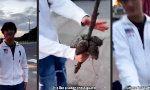 Lustiges Video : Kalifornischer Ritter sucht Schwertgutachter