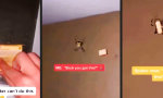 Lustiges Video - Wer spinnt, darf bleiben