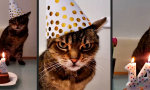 Movie : Einmal Partymuffel, immer Partymuffel