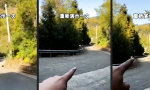 Lustiges Video : Kurvenreiches Leben