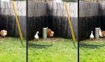 Lustiges Video : Die dunkle Ecke im Hinterhof