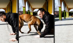 Lustiges Video : Teamwork bei Ausgrabungen