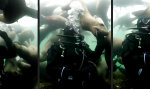 Lustiges Video : Underwater Love