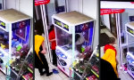 Funny Video : Familienbetrieb der Greifautomaten-Hacker