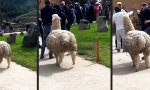 Aus dem Weg!