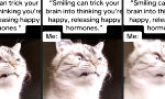 Lustiges Video : Fake your way to Happiness