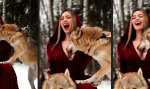 Lustiges Video : Als echter Wolf darf man das