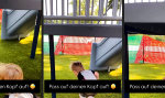 Movie : Die Tücke des aufrechten Gangs