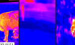 Der digitale Hirte und sein fliegendes Auge