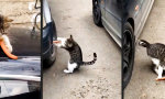 Funny Video : Hier geht’s um’s Würstchen