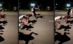 Funny Video - Frogger Street Edition