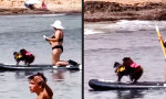 Funny Video : The real Love Boat
