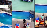 Funny Video : Mach Platz, Mensch!