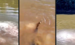 Da mal kurz die Füße ins Wasser halten
