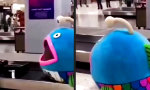 Funny Video : Schicksalshafte Begegnung am Gepäckband