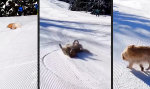 Entspannt in den Winter gleiten
