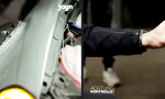 Autokannibalismus für Einsteiger