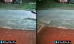 Funny Video : 5:33 Uhr. Irgendwas ist ausgebrochen.