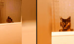 Rendering: Milchglas