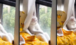 Ein regnerischer Herbsttag am Stubenfenster