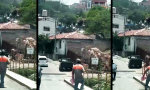 Funny Video : Übermut beim Geradeausgehen