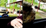 Funny Video : Sitzenbleiben als Stilfrage