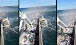 Lustiges Video : Aquakultur im Schleudergang