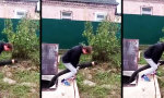 Mal wieder einen Scheissjob abgefangen
