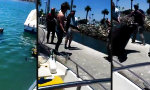 Funny Video : Der erste Fang ist steuerpflichtig