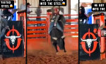 Bull-Eye Reverse