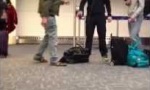 Lustiges Video : Bruchlandung am Flughafen