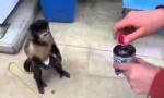 Lustiges Video - Geaffe am Getränkeautomat