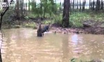 Känguru Waterboarding